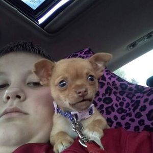 Meet your Posher, Bozeman james